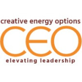 Creative Energy Options Inc