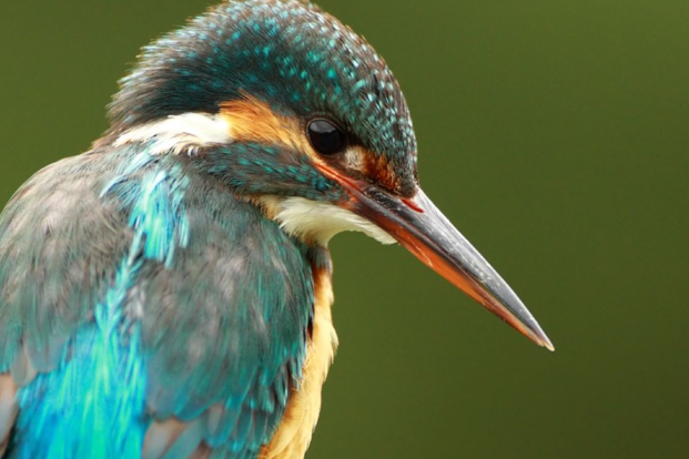 3 Ways Business Leaders Can Explore What’s Possible with Generative AI 3 Ways Business Leaders Can Explore What’s Possible with Generative AI