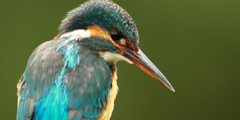 3 Ways Business Leaders Can Explore What’s Possible with Generative AI