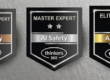 AI Safety